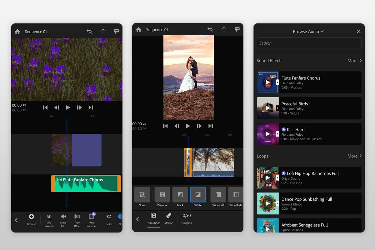 Premiere Pro free download free trial 2022 Version Photodotedit