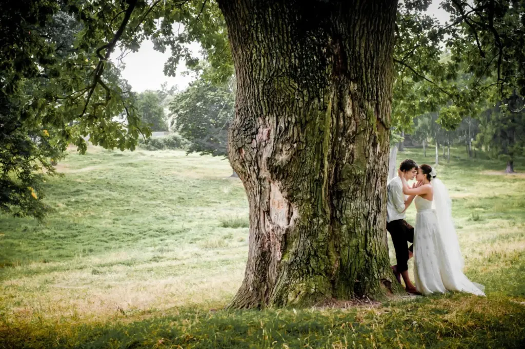 Bride and groom under a big oak tree