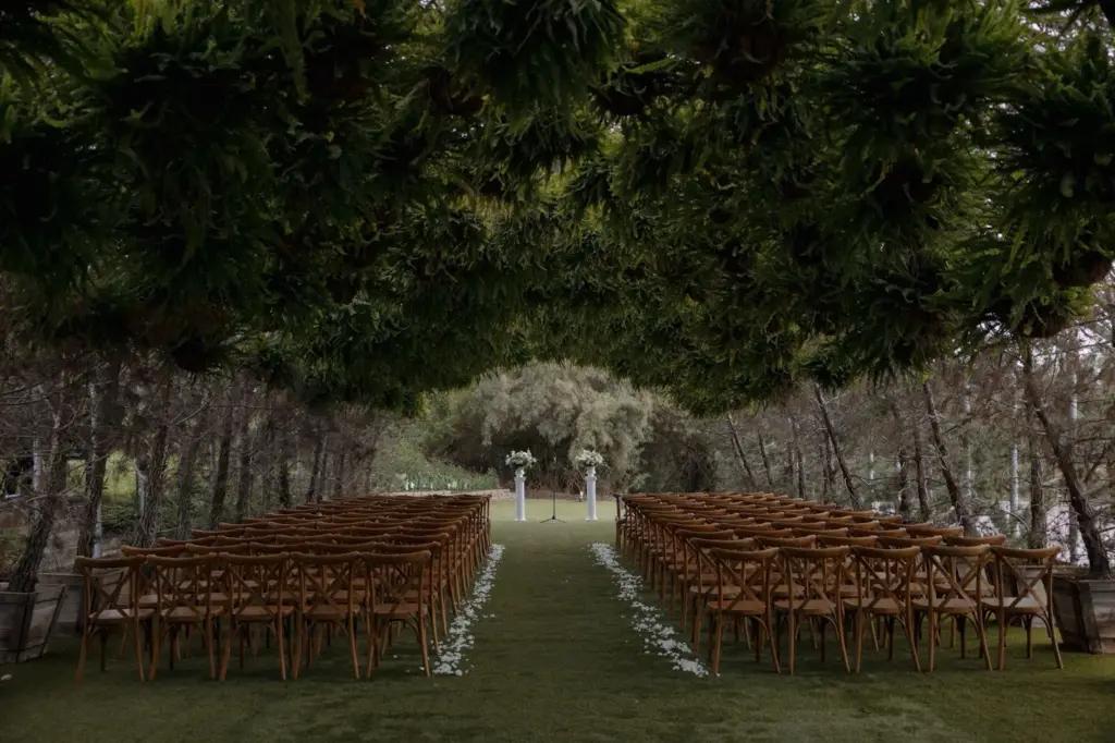 Ceremony under a big tree with dappled sunlight