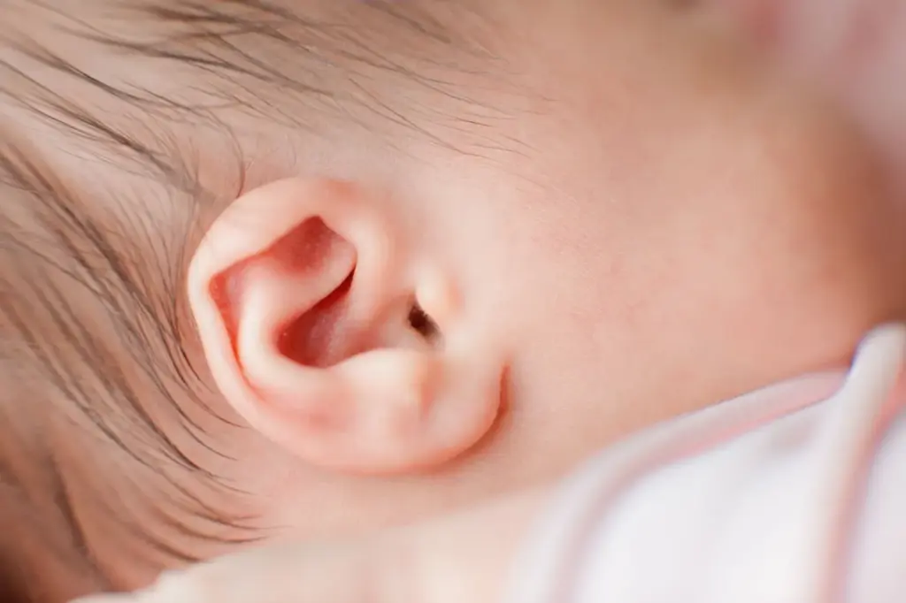 Newborn ears close-up shot