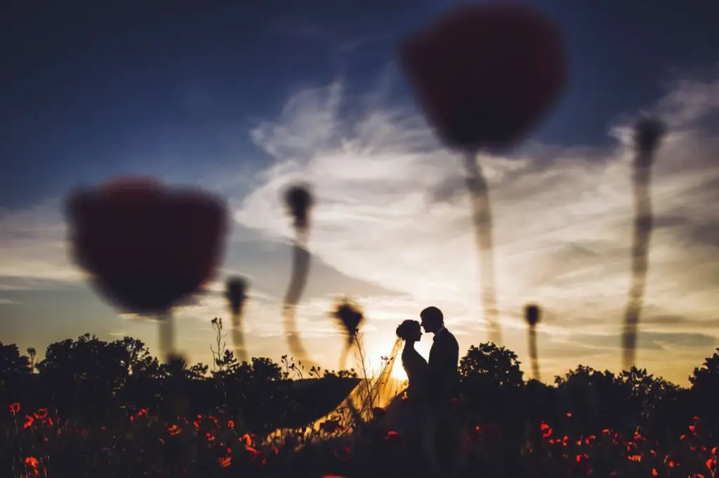 Silhouette against a wildflower backdrop