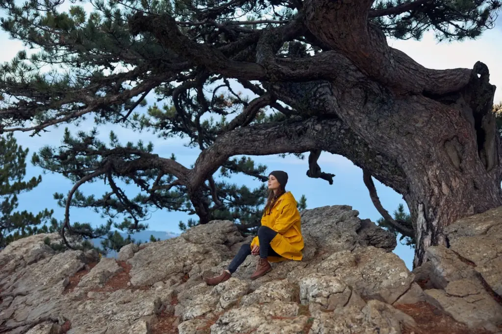 Sitting on a rock or a tree branch