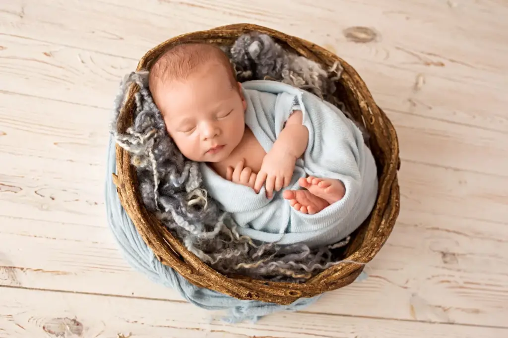 Swaddled in a basket