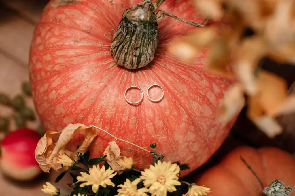 Wedding rings on a mini pumpkin
