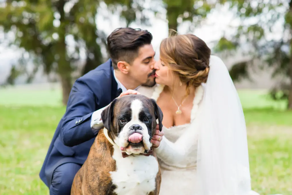 20+ Creative Group Wedding Photo Ideas for Family and Friends 82 Portrait of bride and bridegroom with their dog
