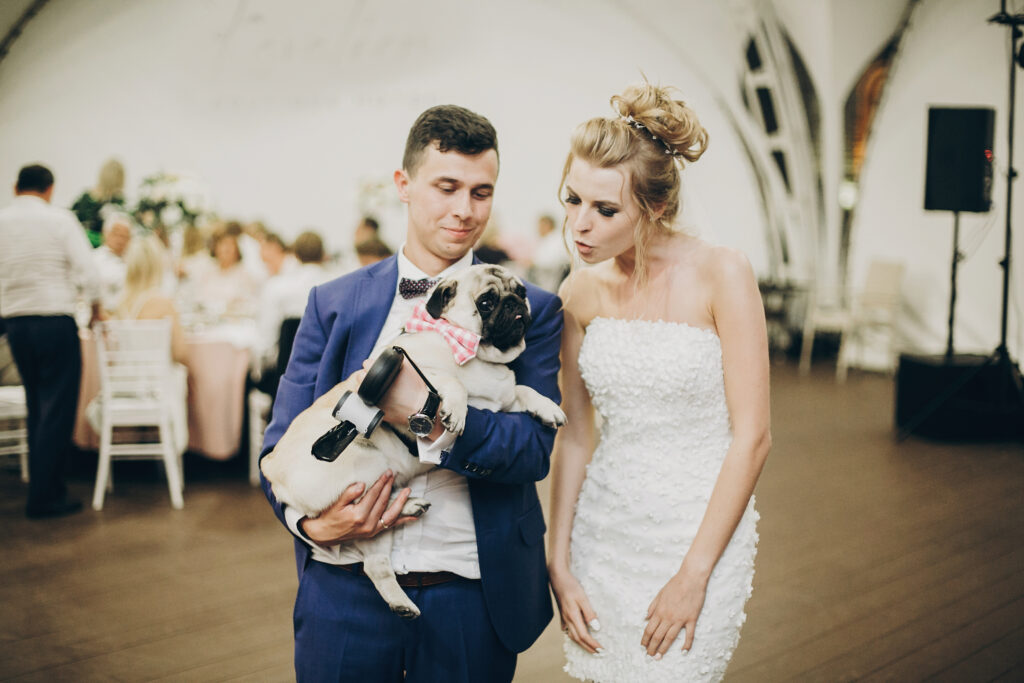 20+ Creative Group Wedding Photo Ideas for Family and Friends 83 Stylish bride and groom hugging and having fun with pug dog in bow tie