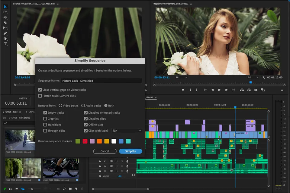 Wedding Video Editing