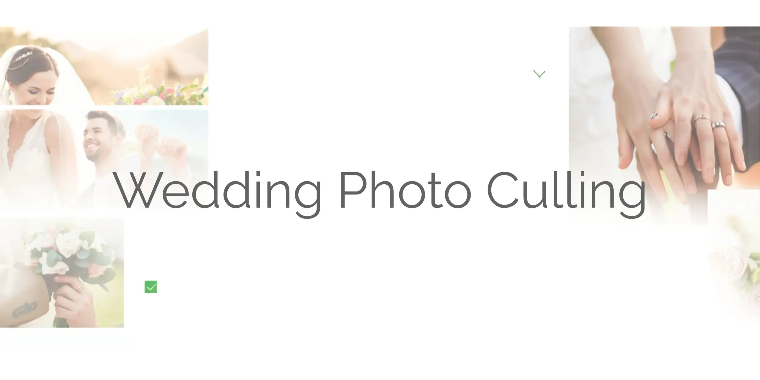 Wedding Photo Culling: How to Cut 3,000 Images Down to 600 in Under 2 Hours 1 Wedding Photo Culling: How to Cut 3,000 Images Down to 600 in Under 2 Hours